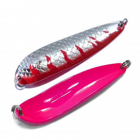 DSCF2108.jpg